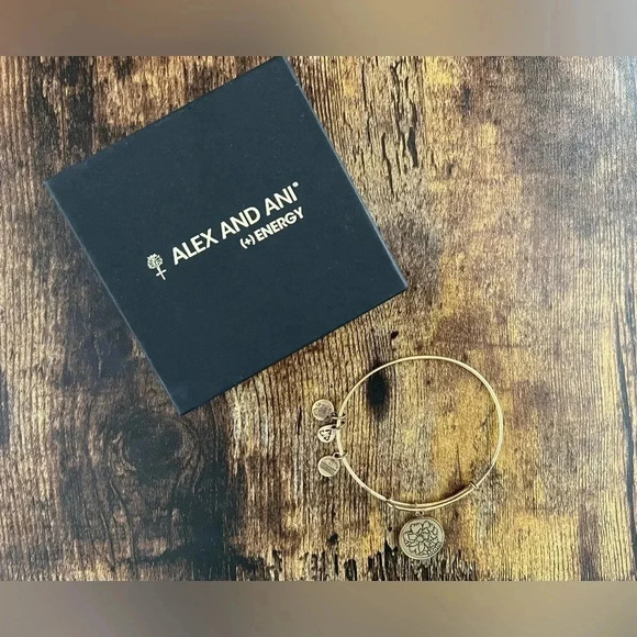 Alex and Ani | Mom, Expandable Rafaelian Bangle Bracelet. - Picture 4 of 9